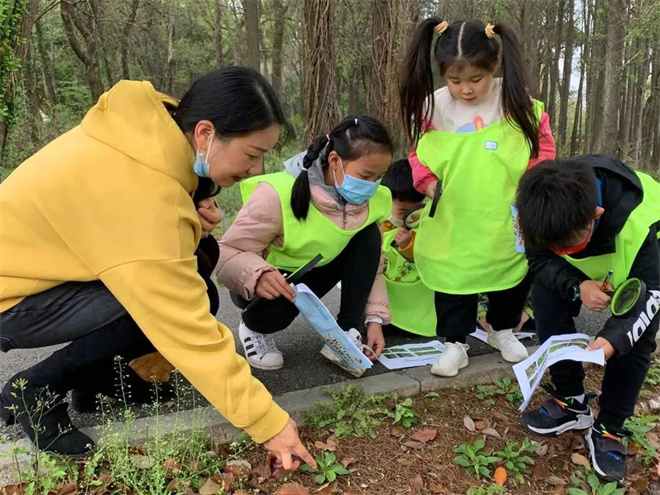 認識植物.jpg